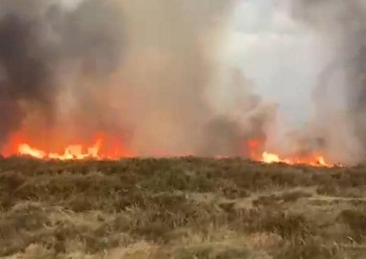 Un rayo provoca un incendio en una zona de pasto en El Ejido